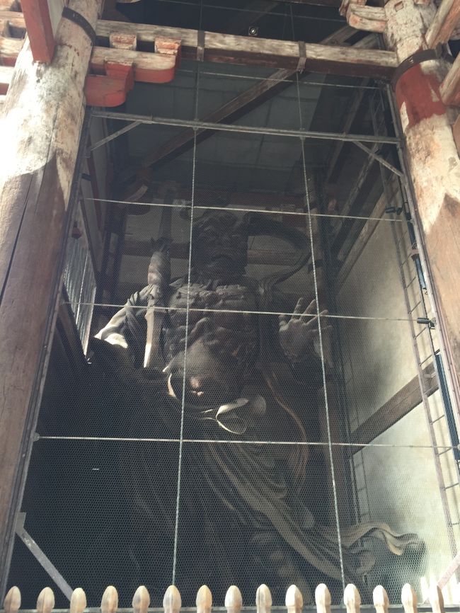 金剛力士さん。<br /><br />あ！！