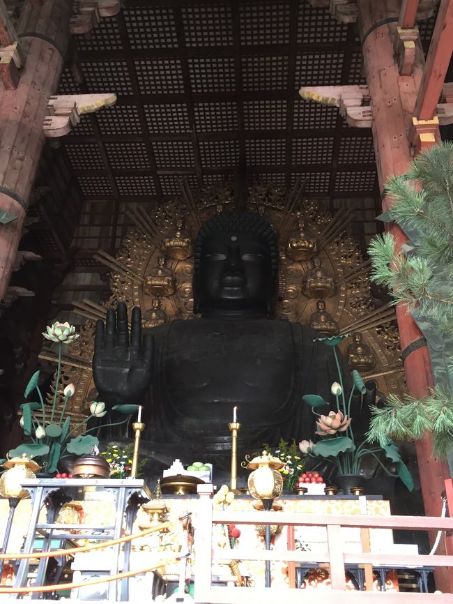 大仏さんご対面。<br /><br />やっぱでかい。<br />