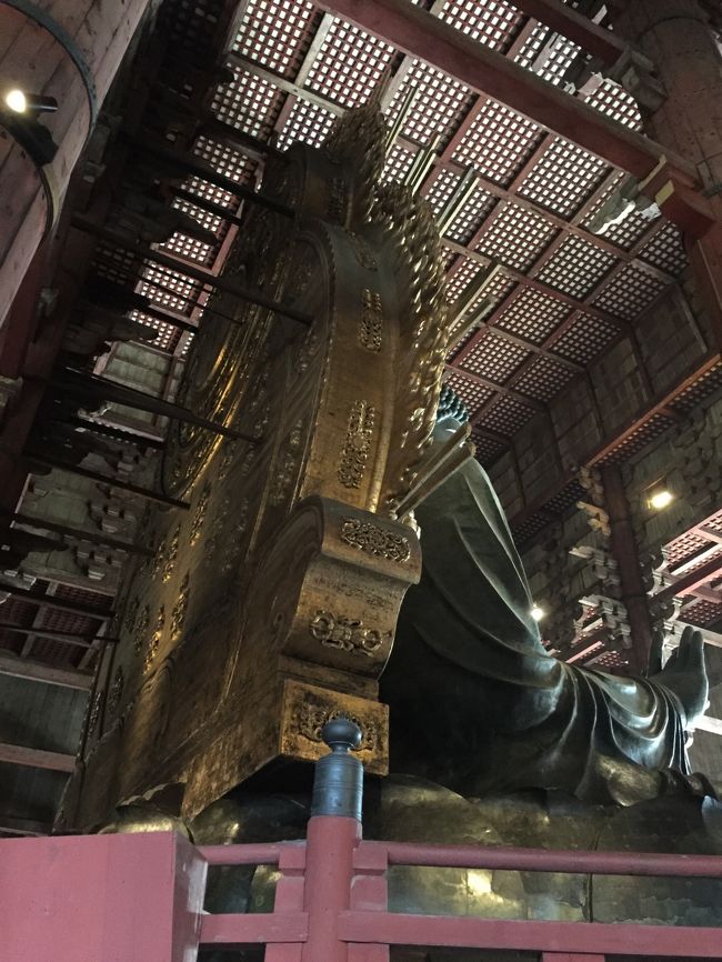 大仏さん斜め後ろから。<br />