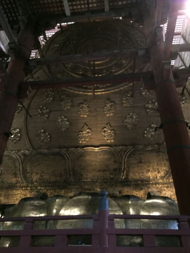 真後ろからはこうなる。<br />