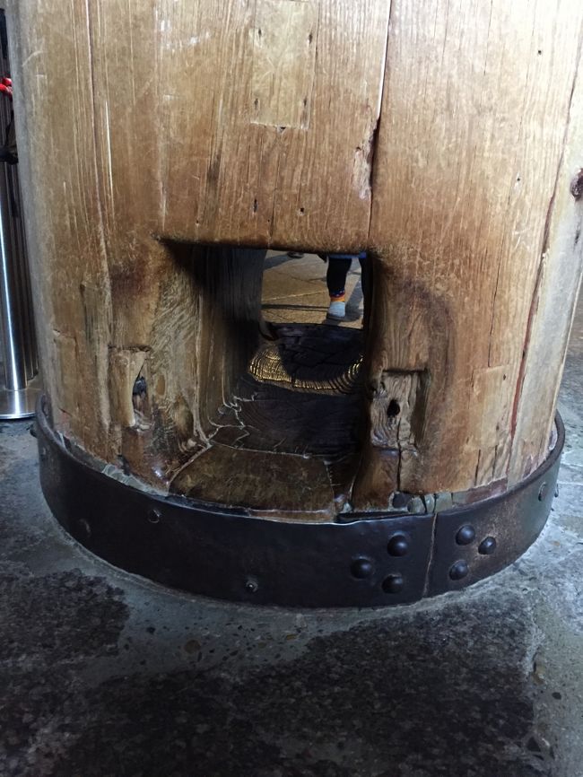 出ました鼻の穴サイズ<br /><br />息子は嫌がって絶対にくぐらなかった。<br />