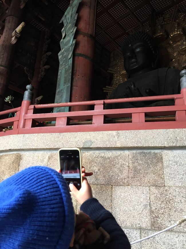 相方の携帯を奪って、大仏を撮っている。<br /><br />しばらく携帯を離さなかったので取り上げるのにひと苦労。<br /><br />そして泣く。<br /><br />「わかったわかった。シカさんにおせんべいあげよっか。」<br /><br />って言って泣きやます。