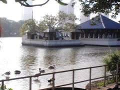 ホテルへ戻る途中にベイラ湖岸を歩きました。浮かんでいるのはシーマ・マラカヤ寺院。私たちは眺めるだけで入らずじまいでした。