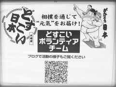 【大相撲、2015年ー平成27年ー初場所】

ど....「どすこいボランティアチーム」？......何するんやろ......？