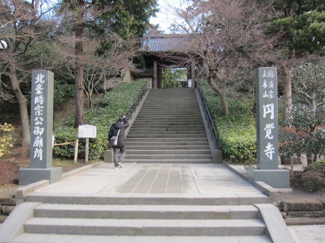 初春の鎌倉さんぽ 北鎌倉から長谷へ 鎌倉 神奈川県 の旅行記 ブログ By かつのすけさん フォートラベル