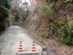 東慶寺から寿福寺へ徒歩で移動しましたが、その途中にある国指定史跡「亀ヶ谷坂」。鎌倉へはかつて「鎌倉七口」という7つの街道を経て入っていましたが、そのうちの一つです。落石を防ぐフェンスなどがあり、雰囲気が少し残念でしたが…。