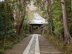寿福寺の山門から本堂へと続く参道です。訪れたどのお寺もそうですが、樹木が大きく歴史を感じます。