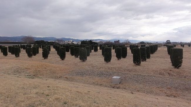 内裏<br />天皇のお住まいで、生えているツゲは、柱の位置を示しています。<br />