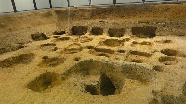 遺跡展示館では発掘した状態（遺構）をそのまま見ることができます。<br />遺構露出展示（掘立柱建物）<br />奈良時代の建物の柱穴を展示しています。穴の重なりから建物が何回も建て替えられたことがわかります。<br />