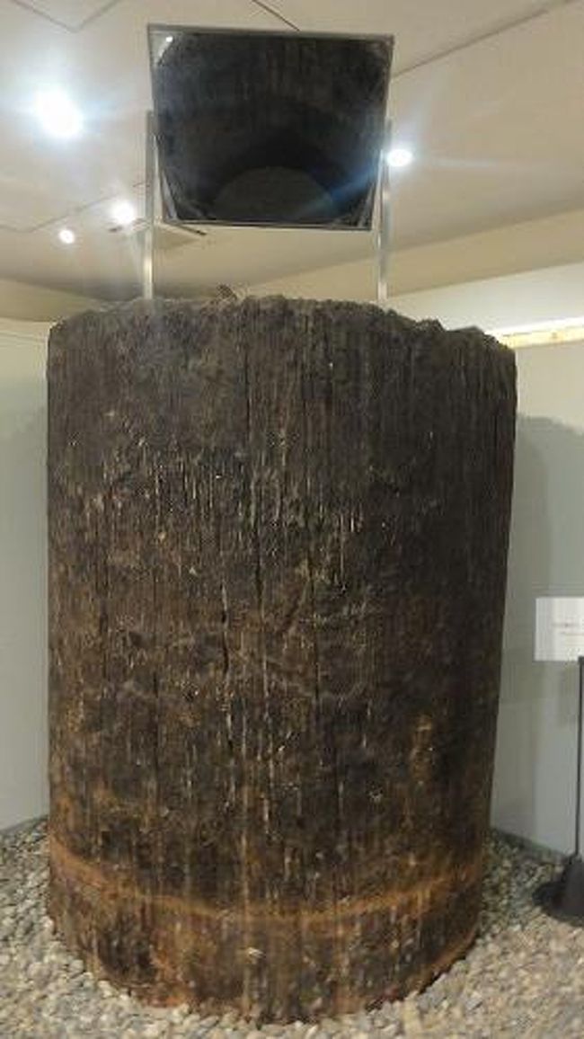 内裏の井戸、直径1.7mもの杉の木がくり抜かれたものです。