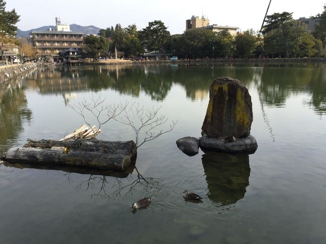 猿沢池。<br /><br />