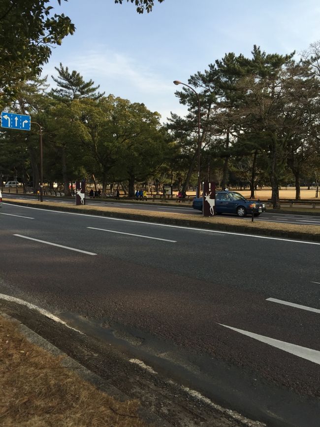 さーてと。<br /><br />それでは車に戻りましょ。<br /><br />