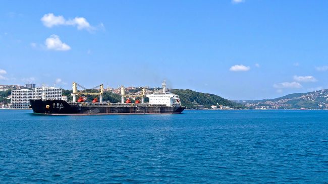 ボスポラス海峡は<br />ダーダネル海峡を経て地中海<br />エーゲ海へとつながっている<br />マルマラ海から黒海へ抜ける<br />海峡で長さ３１Kmあるそうです。