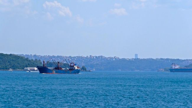 海は広いな大きいなぁ