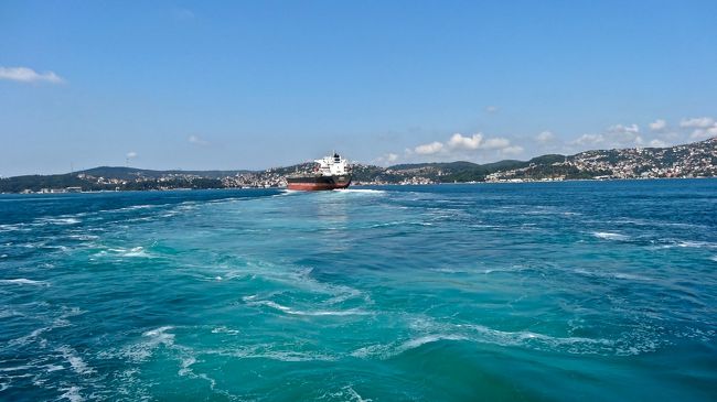 波頭を見ていると<br />一層旅情をかき立てられる<br />ような気がします。