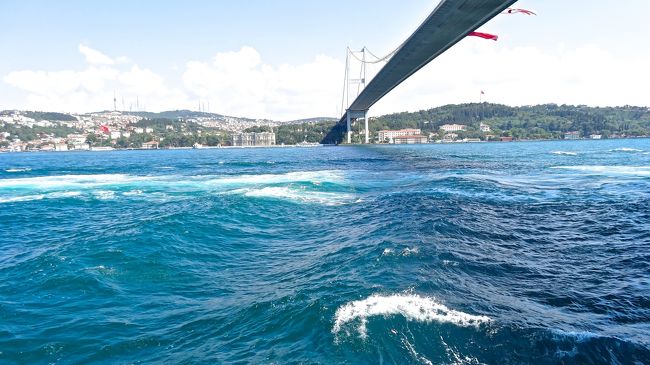 大きな船が行った後は<br />やや波が立っていますが<br />船酔いする程ではありません。<br />が、天候にもよるのでしょうか。