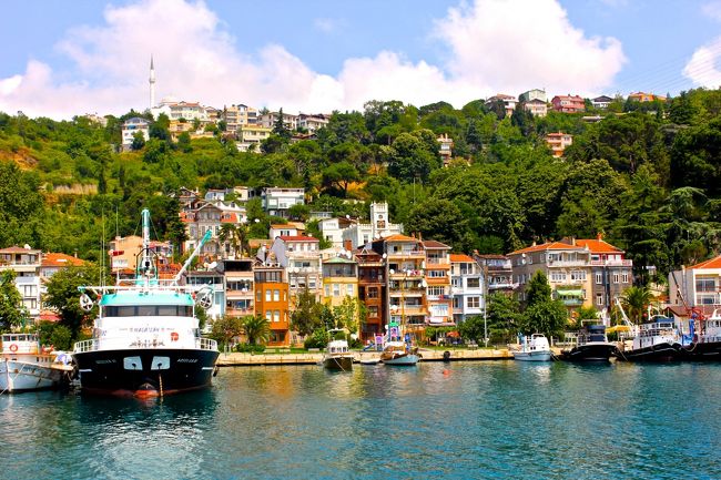 移り変わる景色を見ながら<br />楽しんでいました。