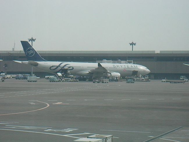 今回搭乗するチャイナエアライン。スカイチームカラーでした。