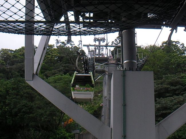 猫空ロープウェイに乗ります。