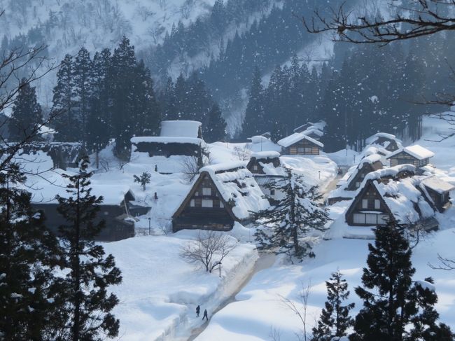 五箇山相倉地区に到着し、駐車場から雪道を登ること約5分。<br />みえました、観えました、4トラでよく見る風景です。<br />敢えて白川郷よりも先に行ったのは、理由があります。<br />白川郷より五箇山の方が、所謂「観光地」という意味ではマイナーなのです。<br />やはり美しい…。<br />