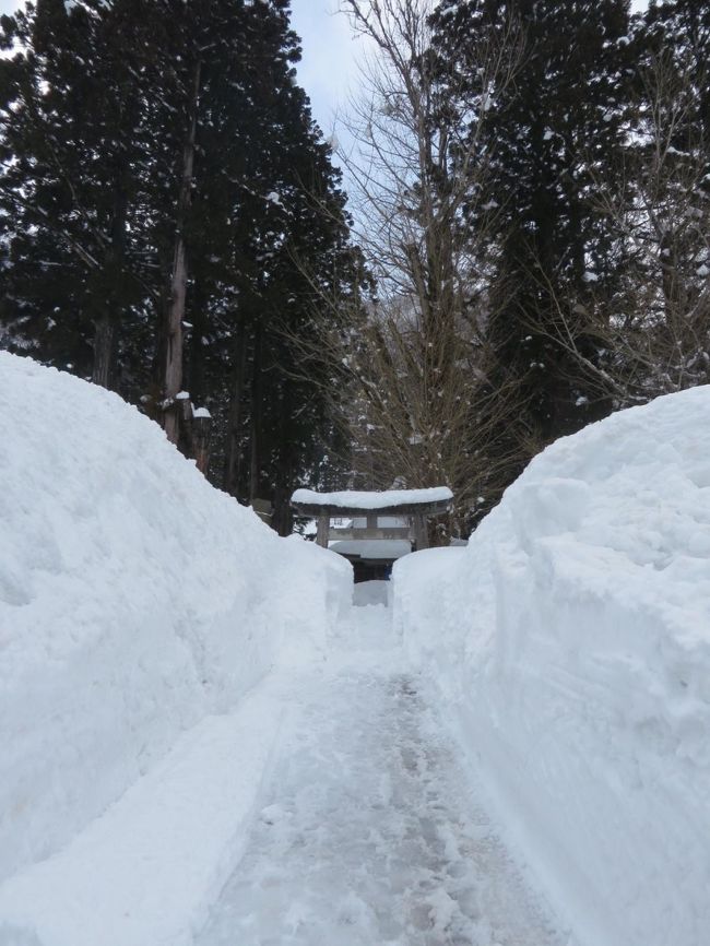 地主神社です。<br />先日降った雪のせいか、雪の壁が高いですね。