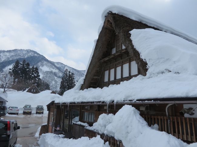 いい感じですね。