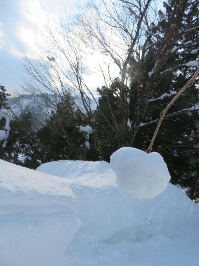 何故このような玉が出来るのか分かりません…
