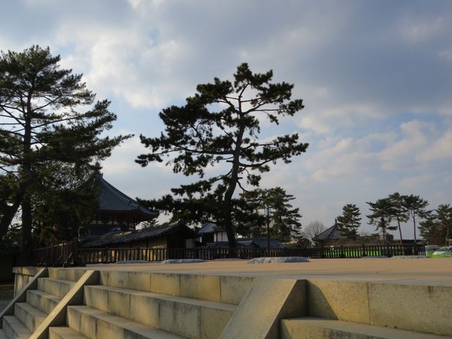 興福寺・南円堂・北円堂<br /><br />何時も単体で撮影していたので今回は対で