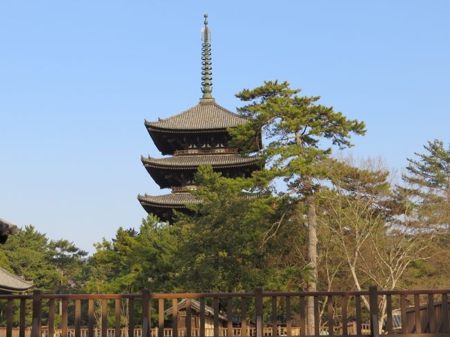 何時ものコースを歩きます<br /><br />癖ですかね〜