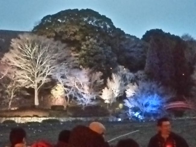 なら瑠璃絵・点灯式に参加<br /><br />１０・９・８・・・・・・３・２・１