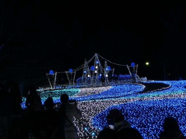 なら瑠璃絵・点灯です