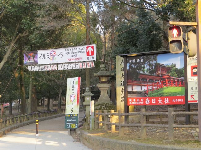 イルミ奈〜ら会場入り口「万葉植物園」で開催