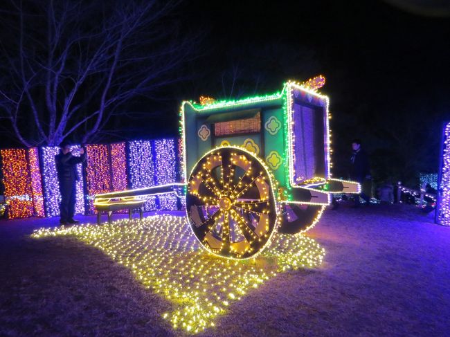 色鮮やかですね〜