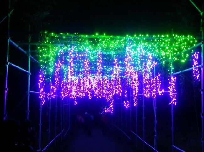 イルミ奈〜らは昨年１１月２２日〜２月２２日まで開催中<br /><br />４トラのガブリエラさんの旅行記で知りましたが。<br /><br />なら瑠璃絵と共に観覧でき満足しました