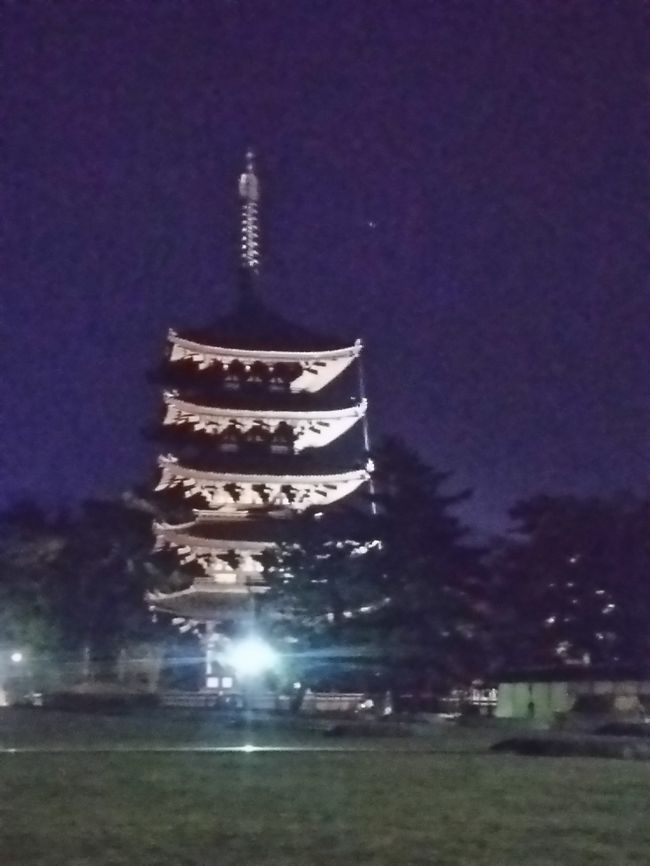 最後に興福寺の五重塔ライトアップで終わります<br /><br />最後まで　御付き合い　だんだん<br /><br />次は何処へ行きましょうかね<br />