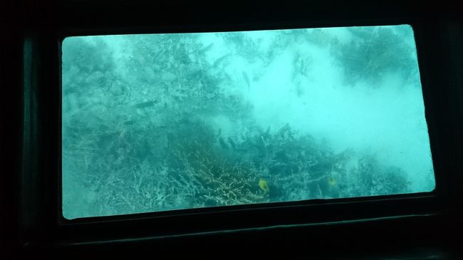 水中遊覧船に乗車〜