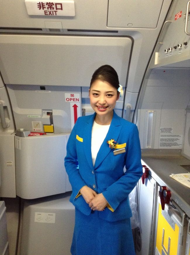 Vanilla Air Happy Holiday Flight! 奄美から成田へ!～』奄美