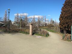 駅からバスロータリーを挟んで文化センターがあります。
その脇にあるのが平成つつじ公園です。650品種、16,000株のつつじが植えられているそうです。ゴールデンウィーク頃にはつつじの花が咲き乱れます。

'15GWの平成つつじ公園 ⇒ http://4travel.jp/travelogue/11006172
'16つつじの見頃の平成つつじ公園 ⇒ http://4travel.jp/travelogue/11124230