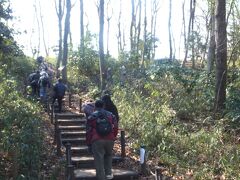 小高い山を上がって行くと赤塚城址があるようです。

ここも「東京都立赤塚公園」の一部だそうです。