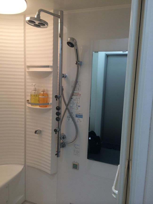 シャワー。なんかかっこいいやつだった…!