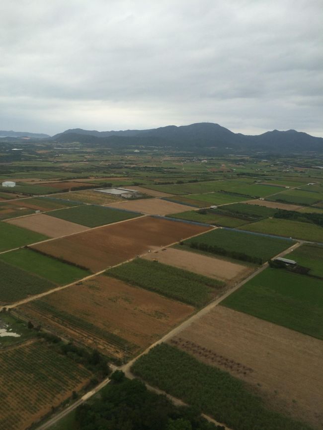 着陸手前。なんだかのどか〜