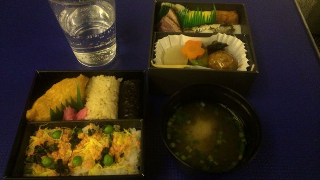 行きの成田行きと似てたけど全く一緒じゃないのがすごい。