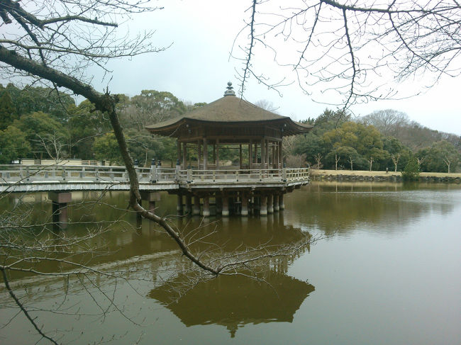 冬の浮見堂<br /><br />11月以来久し振りの奈良<br /><br />去年夏のショック療法のおかげか<br />トラウマは消えつつあり<br /><br />本来は好きな奈良にちょくちょく来れるように