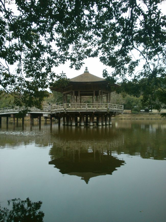 今回は１月に山焼きを終えた<br />三大小山(勝手に決めた)の一つ<br /><br />若草山の焼け具合のチェックと<br /><br />ルシャナ仏様に祈願するために…<br /><br />実質上の初詣、罰当たり者です