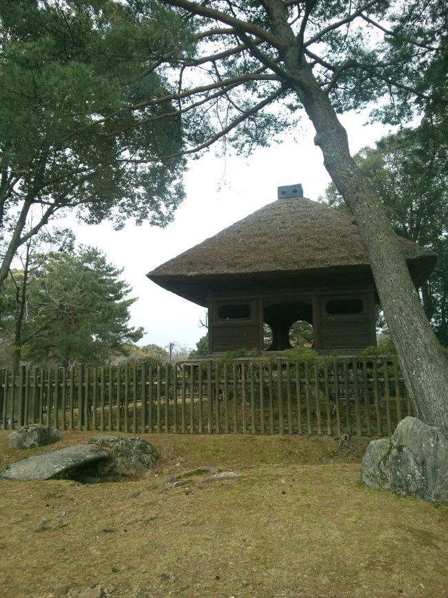 浮見堂を見渡す位置に