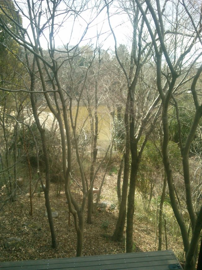 窓からは荒池が<br /><br />下には壷が点在<br /><br />不思議な空間です