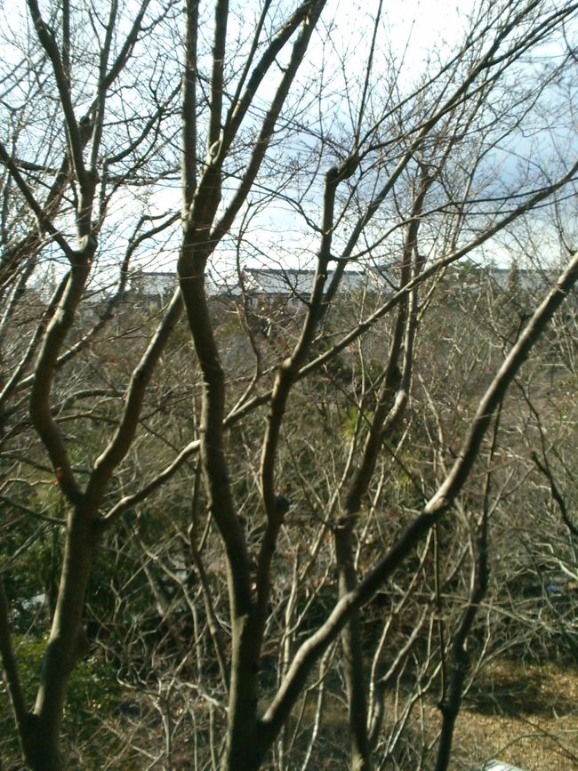 奈良ホテルアップ<br /><br />泊まった事ありませんが、<br />綺麗で重厚な造りですね