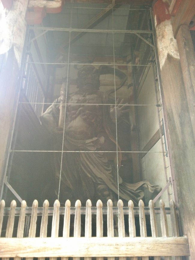 奈良の五條のA さんの病気が快方に向かうよう<br /><br />ルシャナ仏様にお願いします