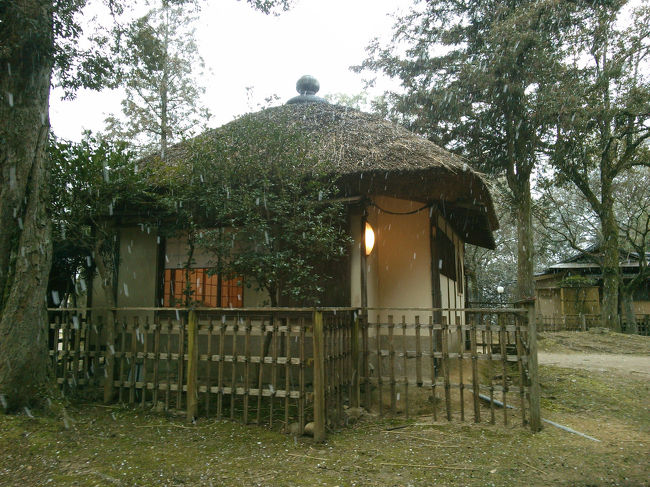 南に戻ります<br /><br />雪が降って来ました