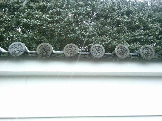 雪が少し積もって来ました